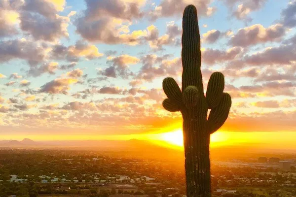 Phoenix Sunset/Sunrise Hike: A Sonoran Desert Spectacle!