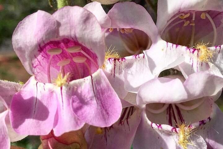 Experience Image img2