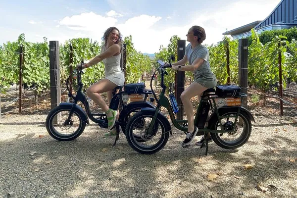 Effortless Exploration: Discover Napa & Sonoma on E-Bikes!
