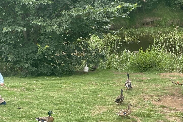 Experience Image img2