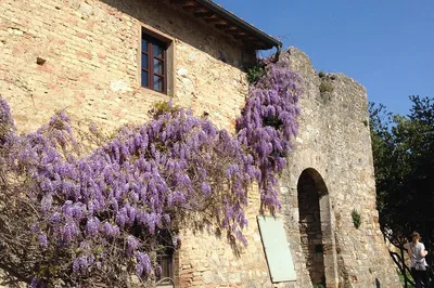 Siena & San Gimignano: Exclusive Private Tuscany Tour
