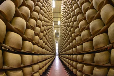 Unveiling Parma's Cheese Secrets: A Parmigiano Reggiano Journey