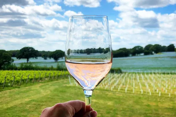 Kent Wine Tour: Private Vineyard Escape & Tastings