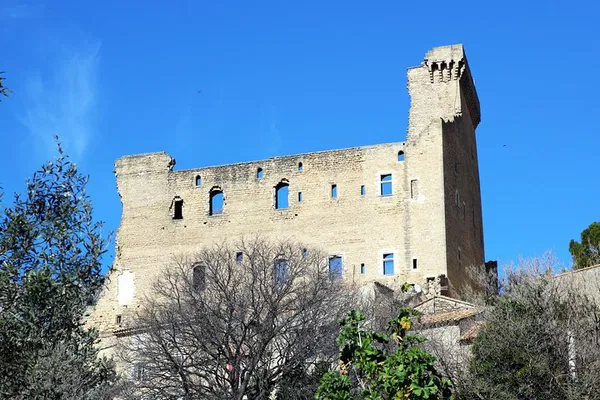 Avignon & Châteauneuf-du-Pape Wine Tour