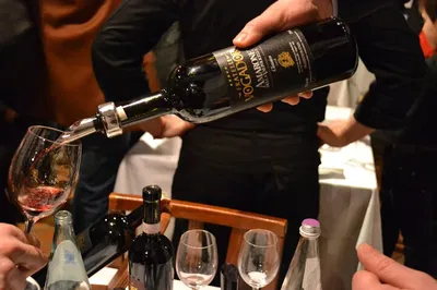 Vogadori Family's Amarone: A Valpolicella Wine Tasting Journey