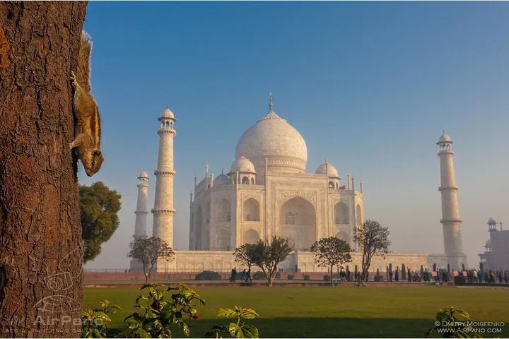 img0