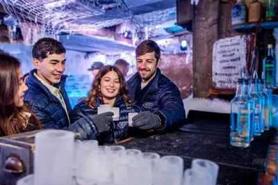 Chill Out in Amsterdam's Coolest Icebar Adventure!