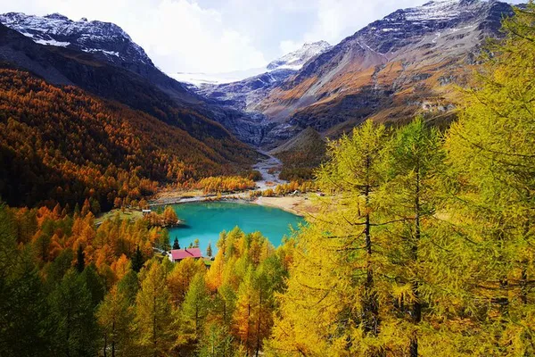 Bernina Express & St. Moritz: Luxury Van, Small Group Tour