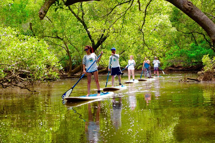 Glide Through Paradise: Byron's Brunswick River SUP Adventure