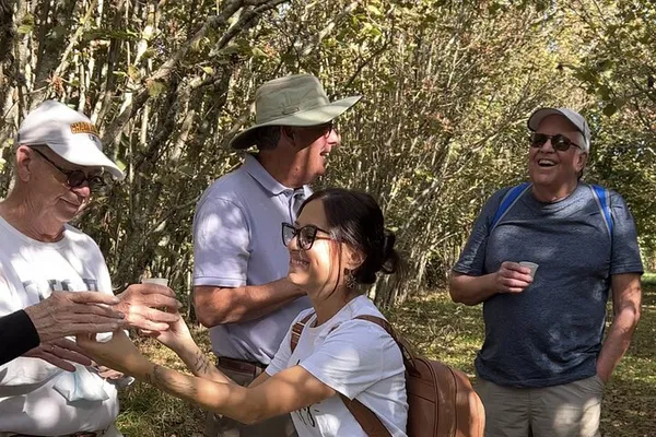 Taormina Food & Wine Tour: Etna Winery Lunch