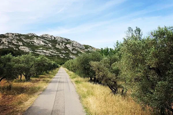 Alpilles Adventure: 4x4 Safari Through Van Gogh's Provence