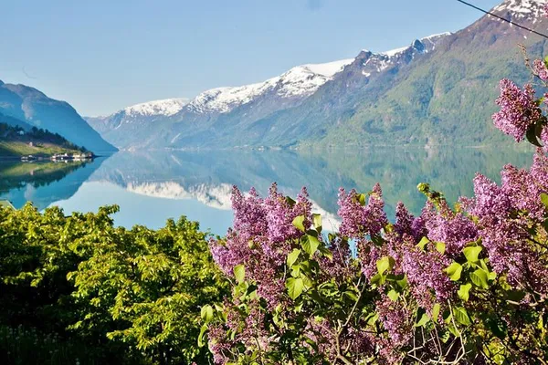 Hardangerfjord Private Tour: Bergen's Breathtaking Beauty