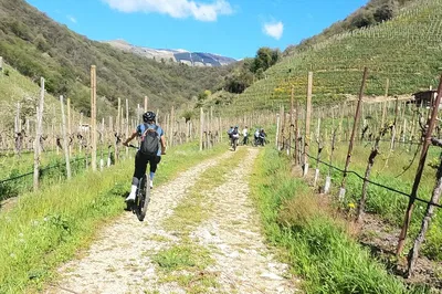 E-Bike Prosecco Hills Adventure: Sip & Cycle Through Veneto's Vineyards