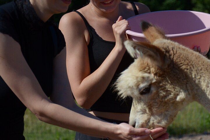 Experience Image img3