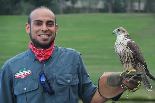 Colorado Springs Falconry: A Hands-On Encounter with Majestic Birds