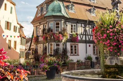 Alsace Villages Tour: Fairytale Towns from Strasbourg