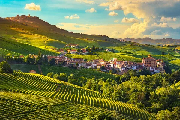 Barolo Wine Tour: Taste Alba & UNESCO Castle from Milan