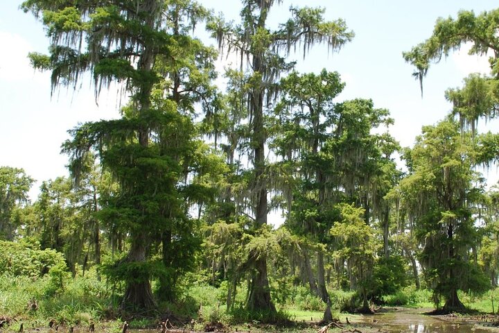 Experience Image img3