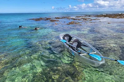 Paddle with Turtles: Clear Kayak Adventure on Oahu's Secret River