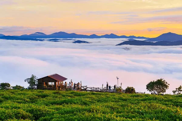 Cloud Hunting: Dalat Sunrise & Tea Tour