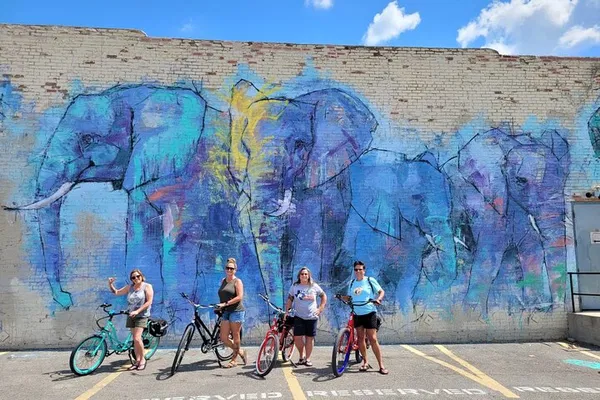 Dallas Electric Bike Adventure: Explore the City with Ease!