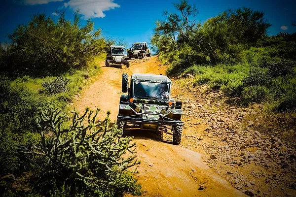 TomCar ATV Desert Adventure: Phoenix Thrills!