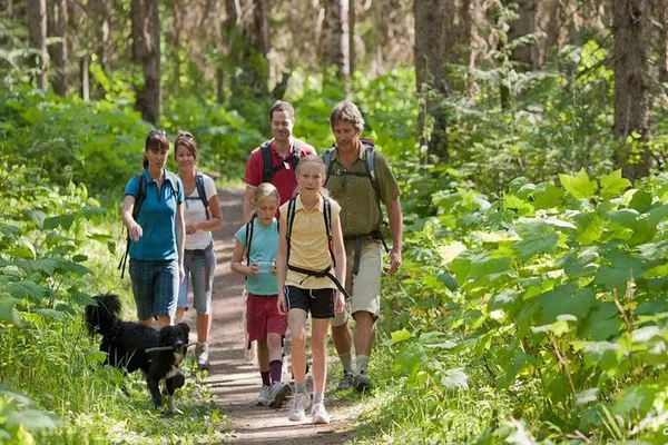 Los Haitises Park: Boat, Hike & Cave Adventure!