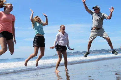 Explore Point Reyes: Redwoods, Wildlife & Coastal Wonders
