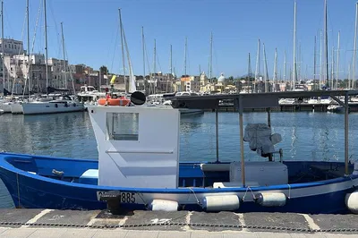 Procida Boat Tour: Authentic Fishing & Island Views