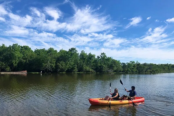 Paddle Through Louisiana's Wilds: Self-Guided Bayou Bienvenue Kayak Tour