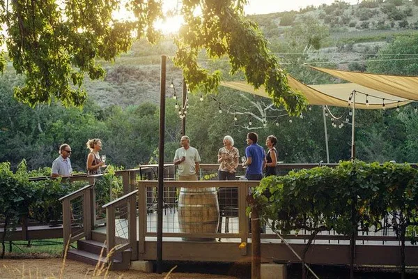 Sedona's Premier Winery Tour: 4 Vineyards & Charcuterie