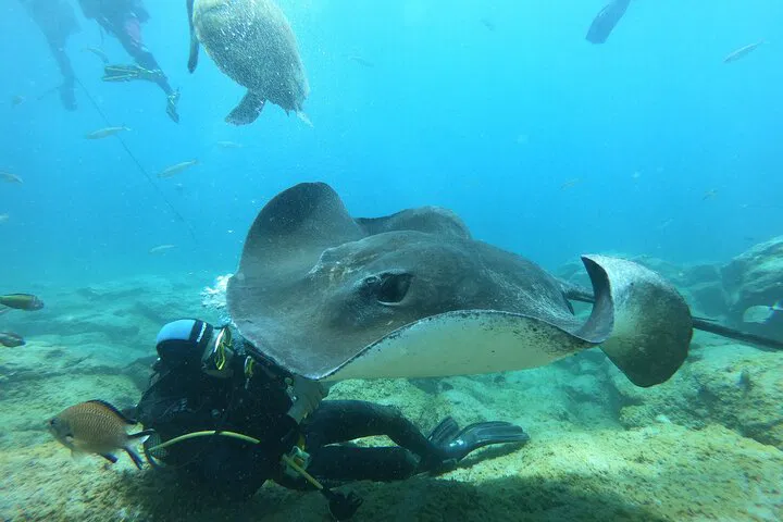 img0