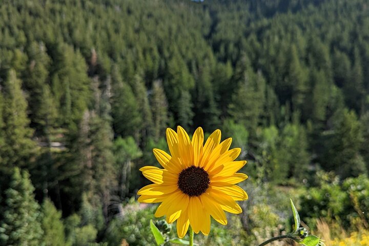 Experience Image img4