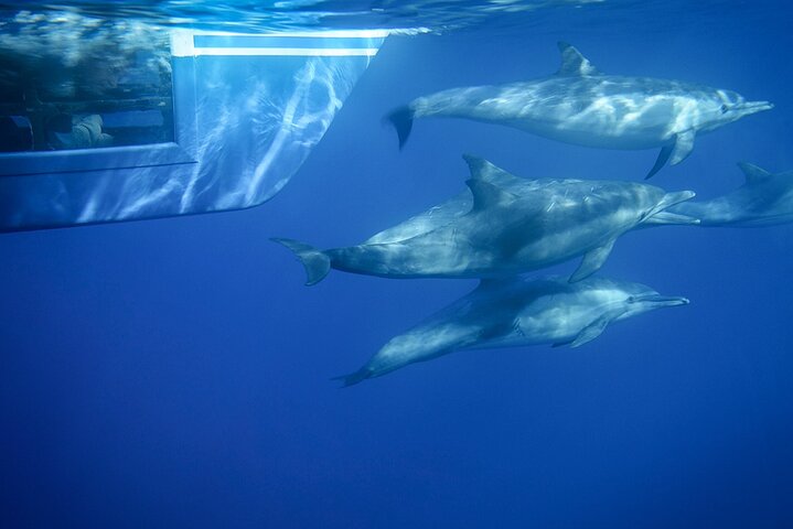 Experience Image img1