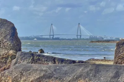 Charleston's Lowcountry Gems: A Complete Guided Day Trip