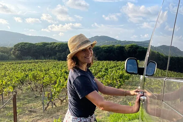 Sip & Savor: Rosé Wine Tour from Saint-Tropez Vineyards