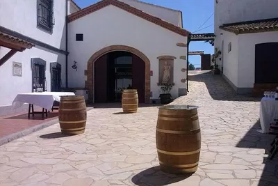 Napa Valley Winery Tour: Wine Tasting & Local Bites