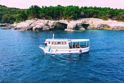 Luxury Brijuni Escape: Private Cruise, Gourmet Dining, and Island Wonders