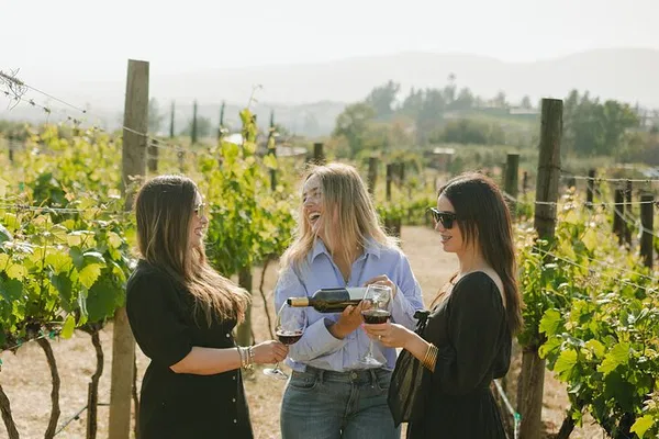 Private Valle de Guadalupe Wine Tour: Customize Your Day!