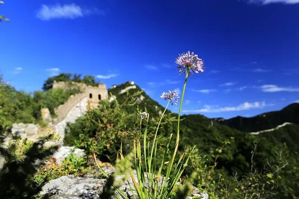 Conquer the Great Wall: Jiankou to Mutianyu Private Hiking Adventure