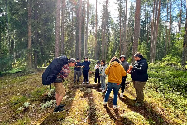 Embark on a Finnish Forest Adventure: Guided Mushroom Hunting!