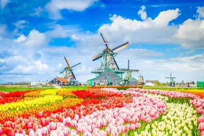 Unveiling Zaanse Schans & Volendam: A Private Dutch Delight