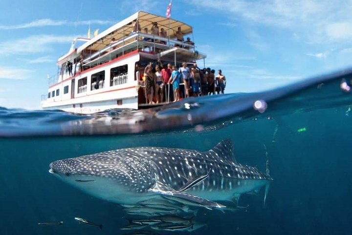 Dive into Adventure: Koh Lanta's Premier Scuba Safari Day Trip