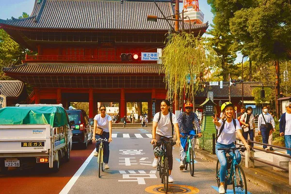 Discover Tokyo's Charm: A Historic Bike & E-Bike Adventure