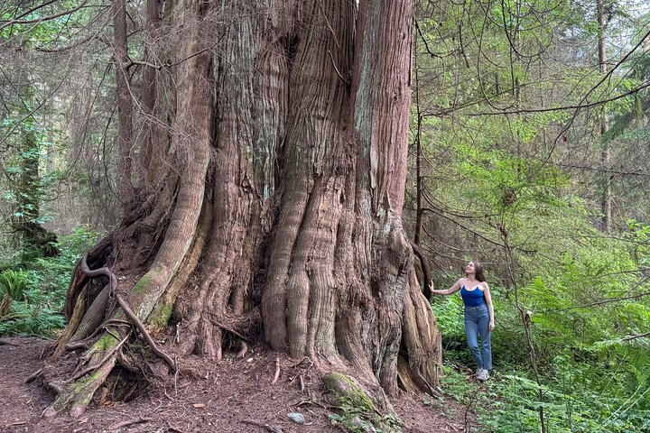 Experience Image img1