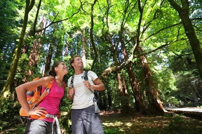 Muir Woods & Sausalito Tour: Escape San Francisco!