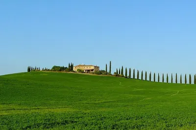 Tuscany Escape: Private Day Trip to Pienza & Montepulciano from Rome