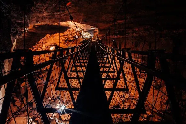 Caves, Roos & KY Adventure from Nashville!