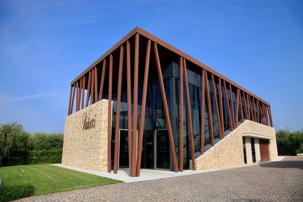 Verona Wine Escape: Taste Art & Vineyard Views in Bardolino