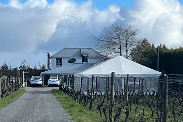 Luxury Tesla Wine Tour: Martinborough's Exclusive Taste Adventure